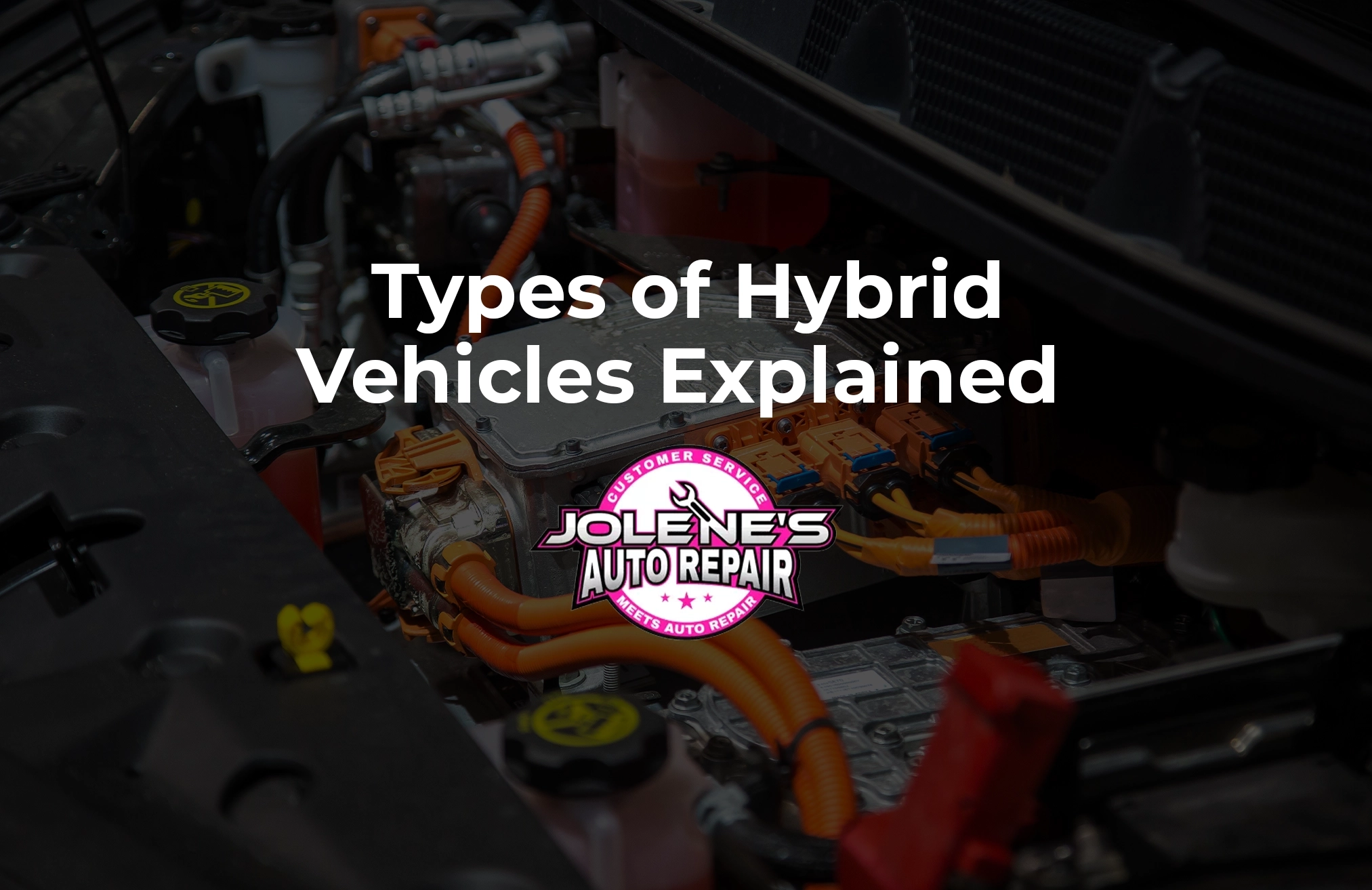 hybridtypesjolenes share 1 copy